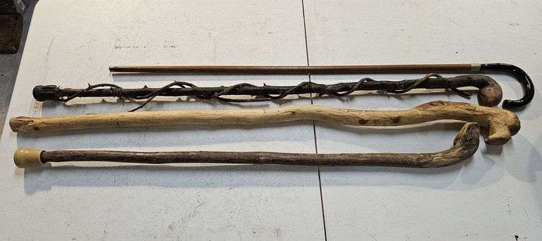 Walking Sticks and Canes image