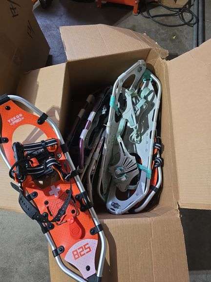 Snowshoes for the whole family image