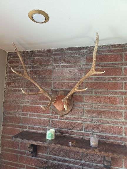 Elk Antler Rack Mount image