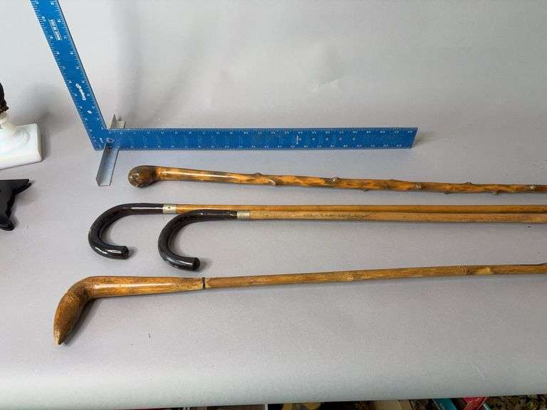 Four walking sticks image
