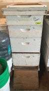 Hive boxes, platform, base, lid, (2) 9.5", (2) 6.5" 3 boxes have frames, 1 does not