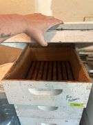 Hive boxes, platform, base, lid, (2) 9.5", (2) 6.5" 3 boxes have frames, 1 does not