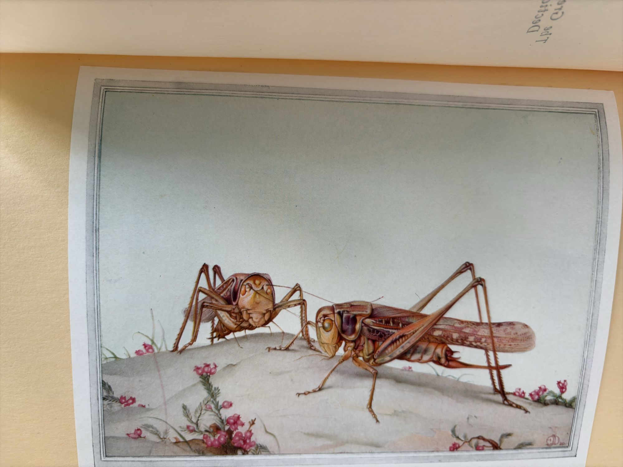 Lot image 3