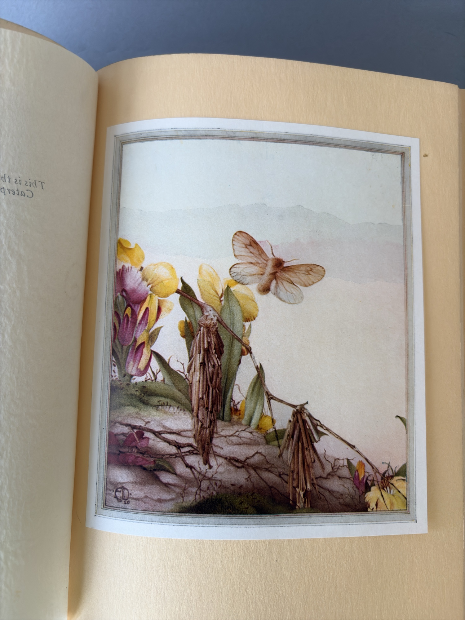 Lot image 4