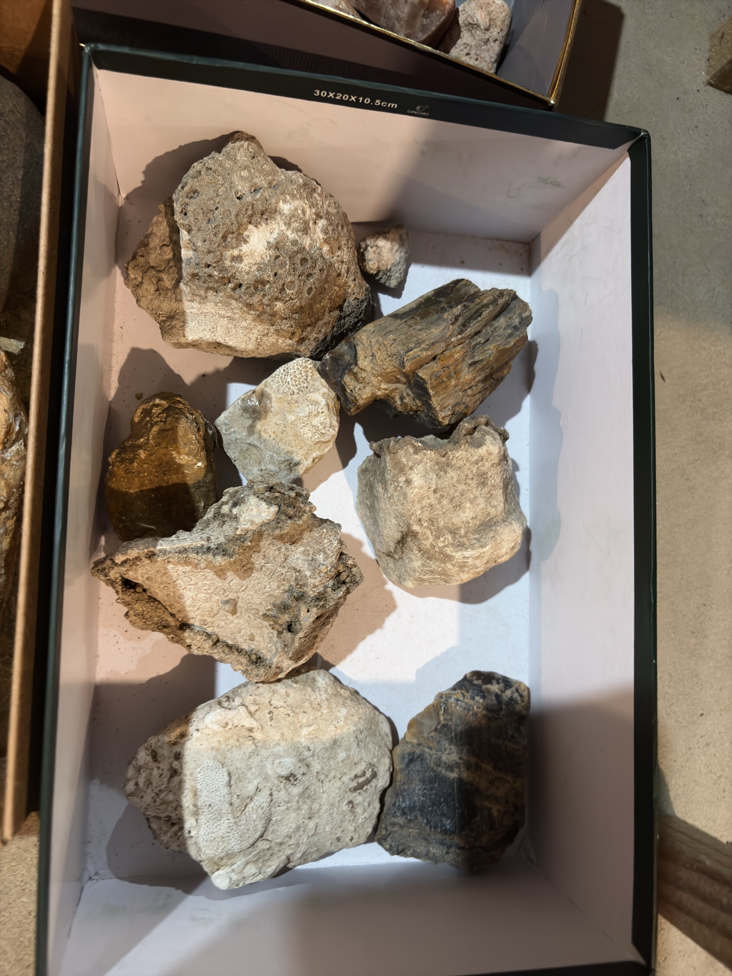 Lot image 3