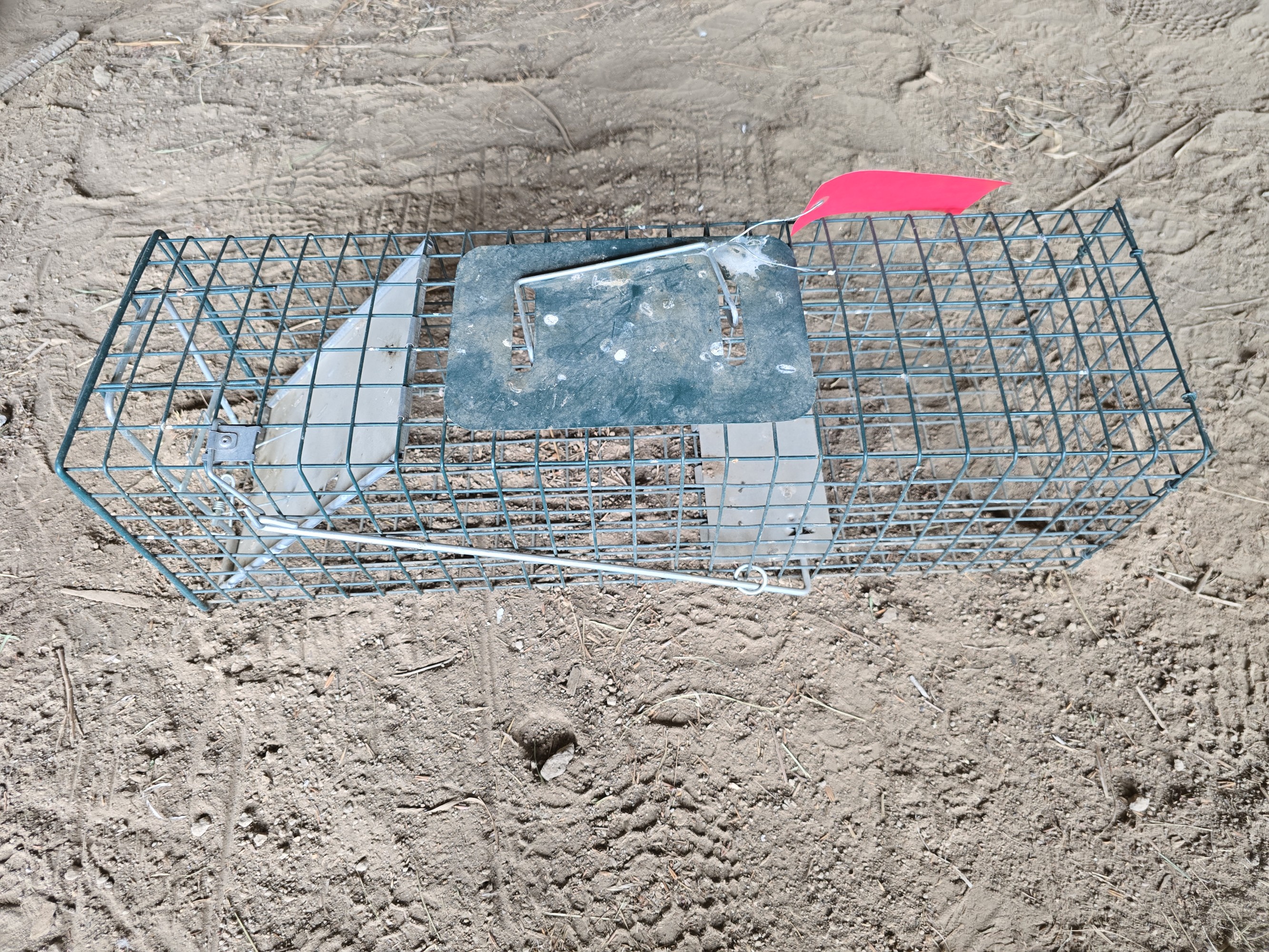 Lot image 1