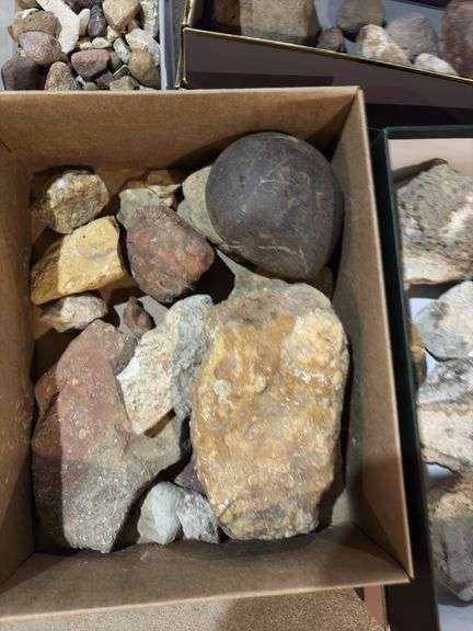 Rocks, fossils, petrified wood