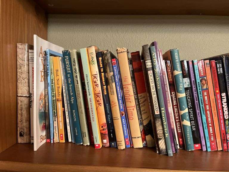 LOTS of paperback books 3 shelves