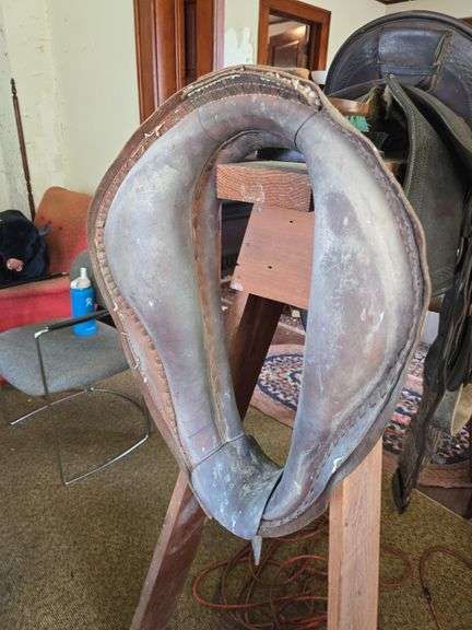 Old Mother Hubbard Saddle
