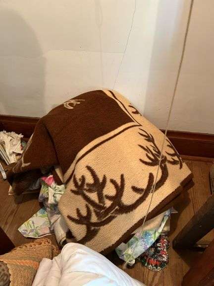 Various linens include blankets, pillows, sheets, rug