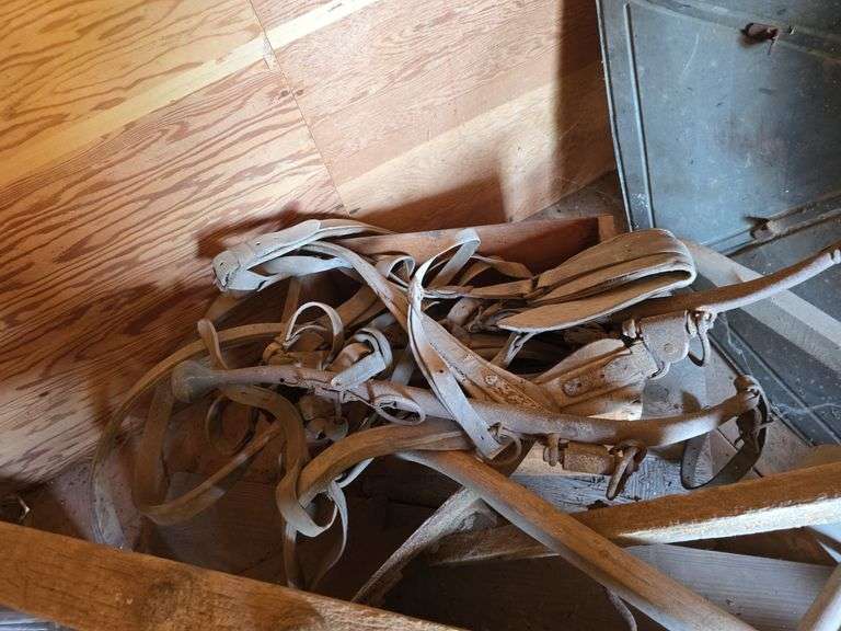 Plethora of old horse harness, collars, hames w/ brass knobs etc...
