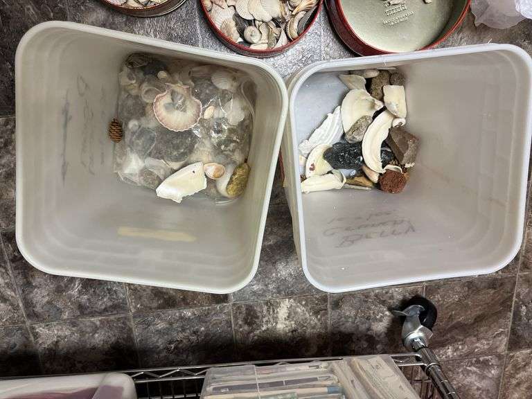 Sea shells 2 partial buckets