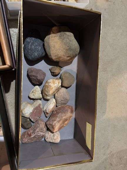 Rocks, fossils, petrified wood