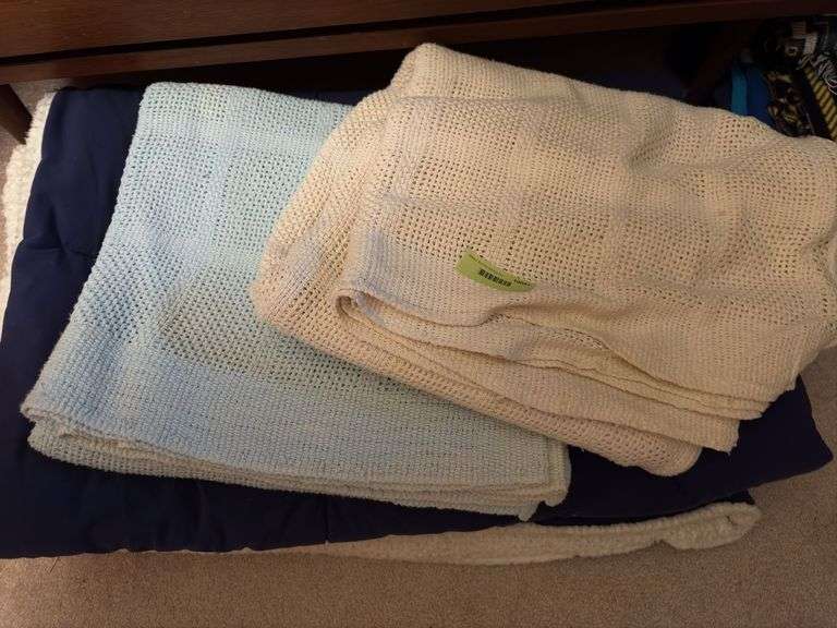 One warm fuzzy blanket and two sheet blankets