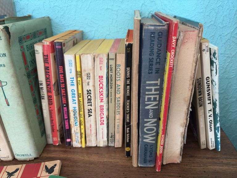 Quantity of old children’s books