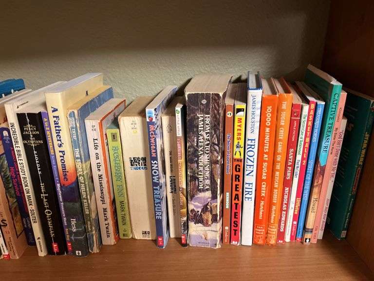 LOTS of paperback books 3 shelves