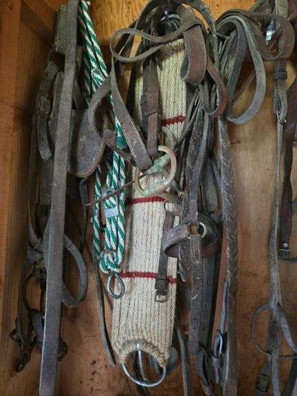 Various horse tack and an old radio
