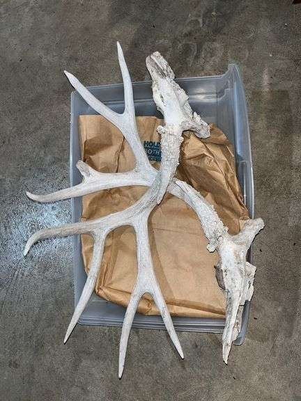 Multi antlers and 2 meat saws