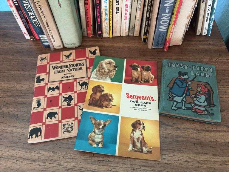 Quantity of old children’s books