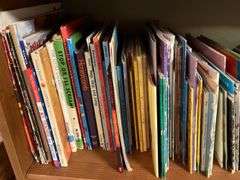 2 shelves of kids books