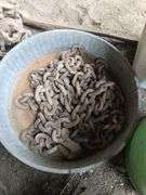 Log chains, chain come a longs, rail car mover head