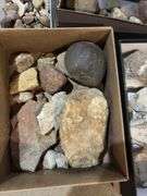 Rocks, fossils, petrified wood