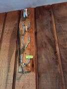 Raccoon hat, horseshoe gun rack