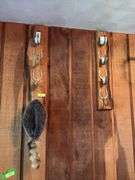 Raccoon hat, horseshoe gun rack
