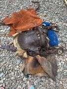 Vintage saddle, chaps, and saddle, blanket with beaded detail