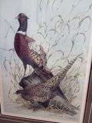 Schanz Furn Amana oak frame 25 x 30 w/ Landenberger Ringneck Pheasant print Second Edition S/N 913/950