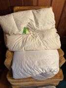 Two twin size down comforters, one does have a hole that needs repaired