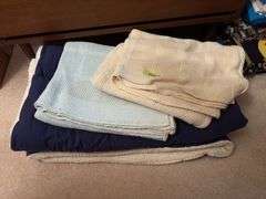 One warm fuzzy blanket and two sheet blankets