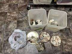 Sea shells 2 partial buckets