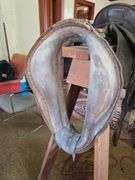 Old Mother Hubbard Saddle