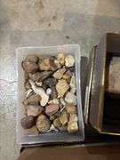 Rocks, fossils, petrified wood