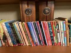 LOTS of paperback books 3 shelves