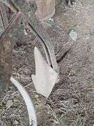 2 old push cultivators