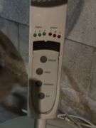 Lasko floor fan and Honeywell oscillating fan