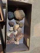 Rocks, fossils, petrified wood
