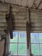 Contents of tool shed includes tool boxes, 2 floor jacks, 2 man saw, windows, buckets of charcoal, nail kegs, nails, pony shoes and more See photos, bring your gloves!
