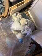 15+ boxes and totes of mostly fabric, denim, rug making items, knitting and sewing related - CRAFTY CORNER