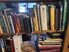 Large assortment of reading books