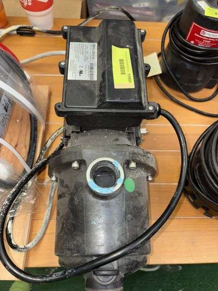 Balboa water group 230/115V pump Part 1026081B image