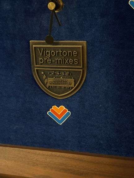 Vigortone clock and Nylint Vigortone pickup