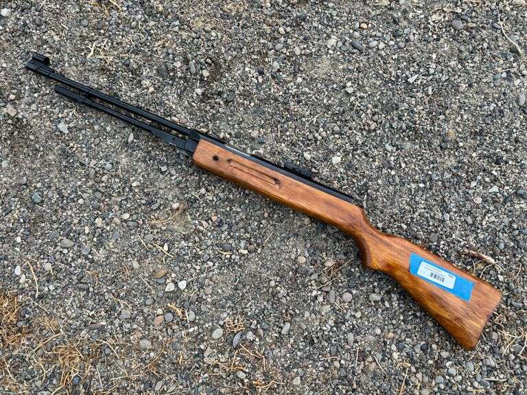 Pellet gun image