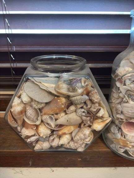 2 large jars of seashells and sand dollar