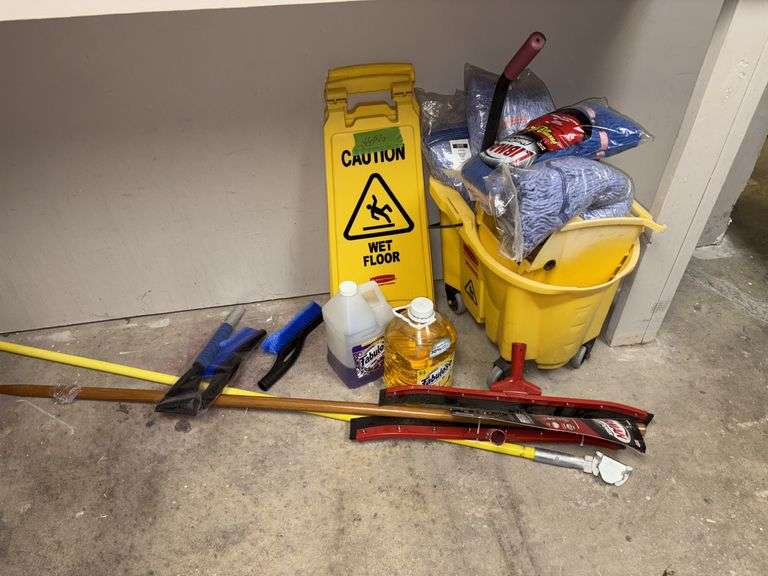 Mop bucket, floor squeegee, Fabuloso, mop heads image