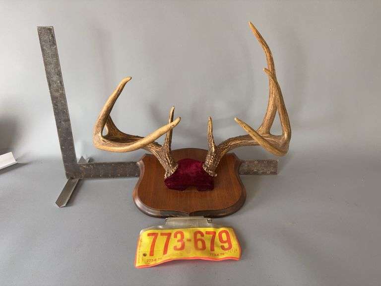 Whitetail antlers with WI deer tag from 1986 image