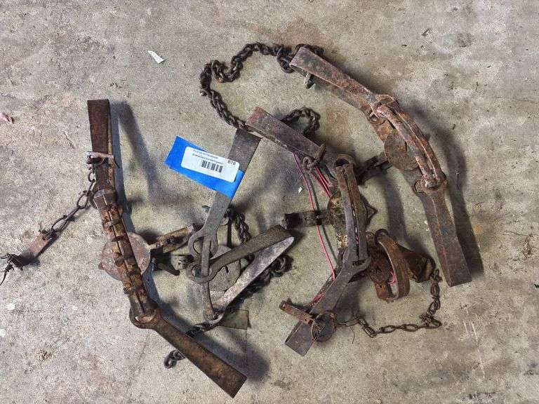 5 foot traps image