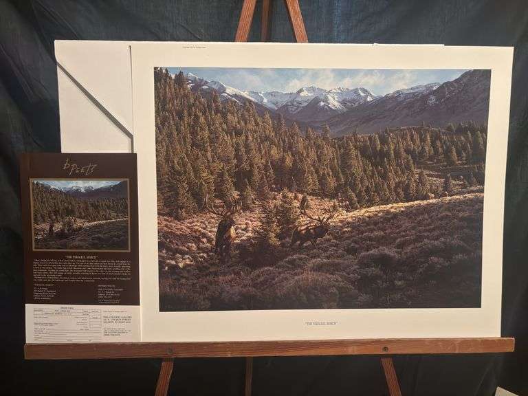 Signed and numbered Barbara Peets print “The Parallel March” with certificate of authenticity 27 x 21 image
